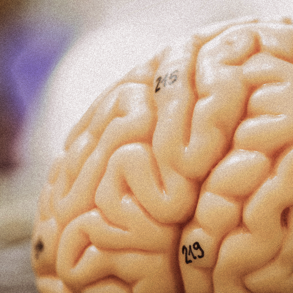 מה משפיע על זיכרון לפני בחינות? נועם