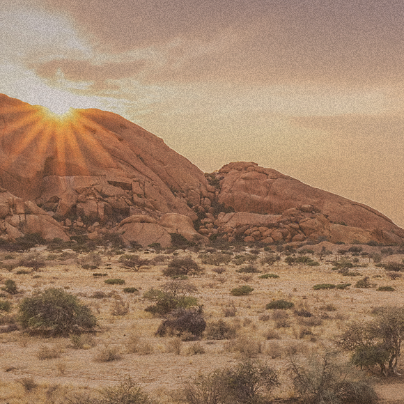 הסוואנות – מפתח לבלימת אפקט החממה?