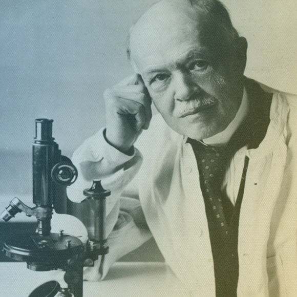 היום לפני: הכינים שקטלו מיליונים