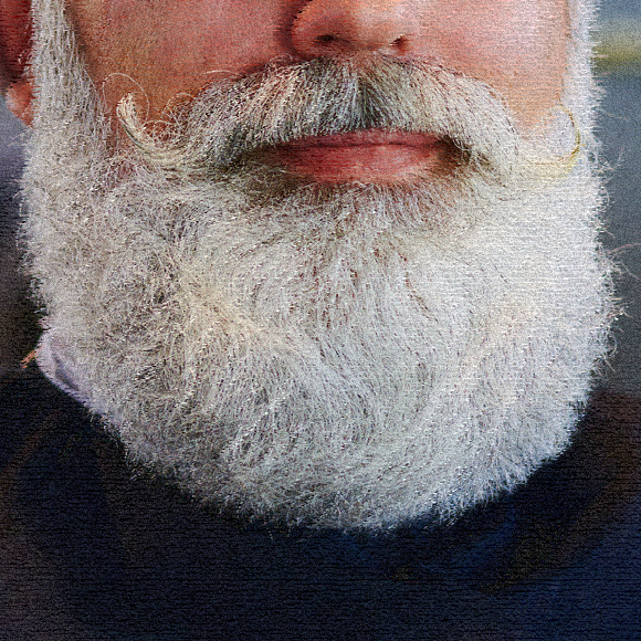 עשרה גנים של אפור