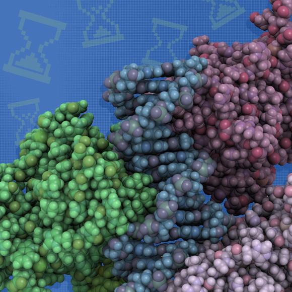 לנצח את הסרטן עם שעון