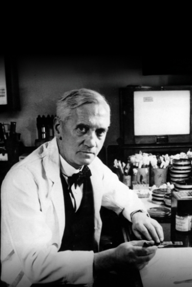 היום לפני: אלכסנדר פלמינג