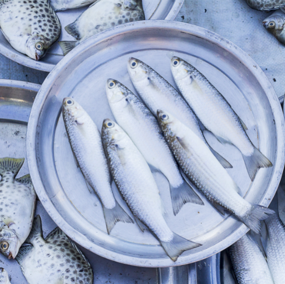 מתכות כבדות במזון – האם יש ממה לפחד?