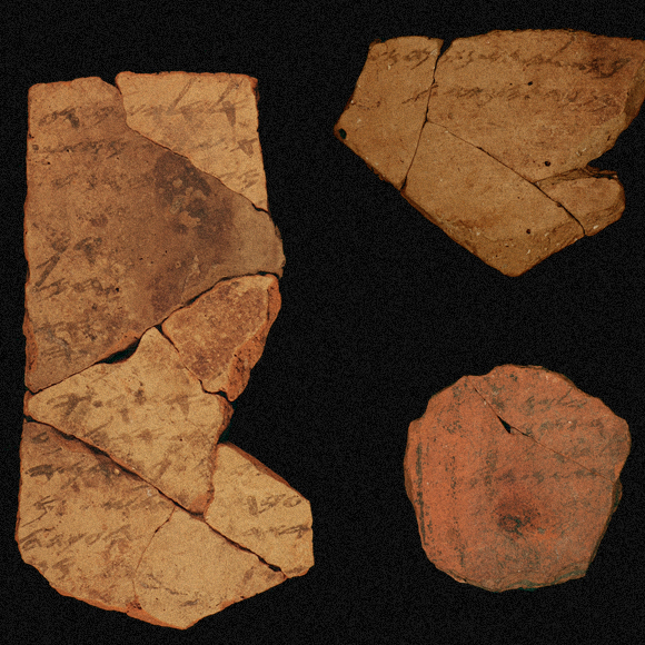 מי כתב את ההוראה? כולם