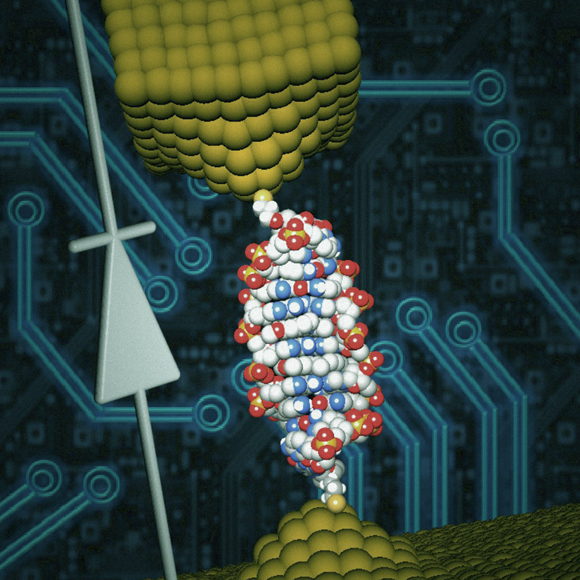 אלקטרוניקה מעולם החי: רכיבי DNA