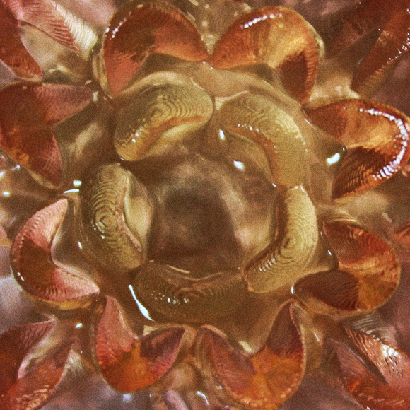 טכנולוגיה ישראלית חדשה מייעלת הדפסות תלת-ממד במים