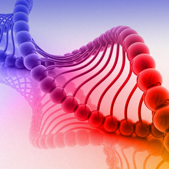 חיידק מהונדס בלחיצת כפתור