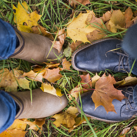 עד שהמוות יפריד בינינו (או מחלת המין)
