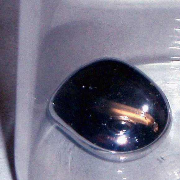 זיהום כספית מגיע מהים ליבשה