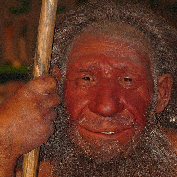 קוף אחרי בן אדם