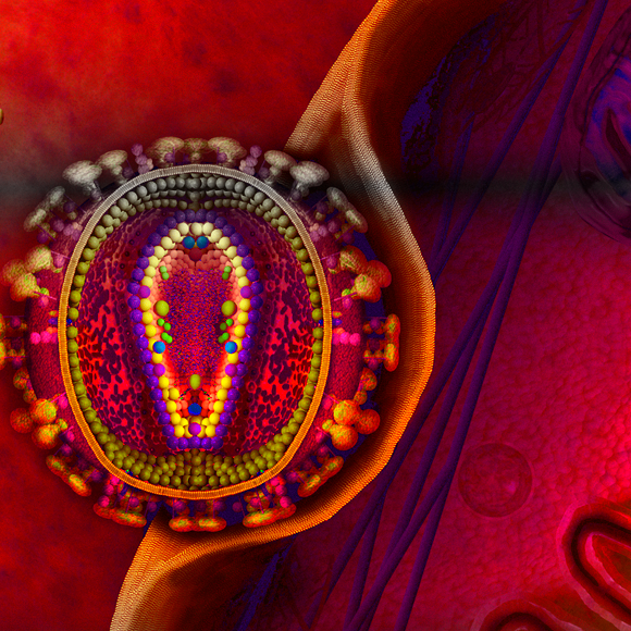 ההגנות המתקדמות של נגיף ה-HIV