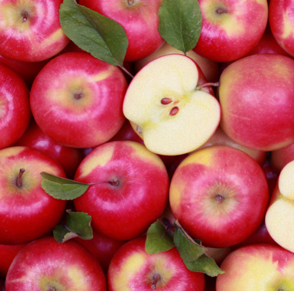 התפוח לא נרקב רחוק מהעץ – בזכות הציפוי