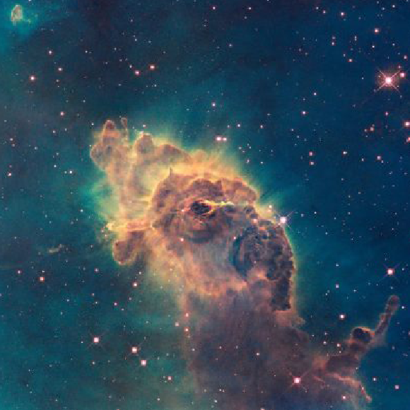 החיים שהגיעו מהחלל?