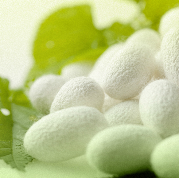 כפפות של משי להגנה על פירות