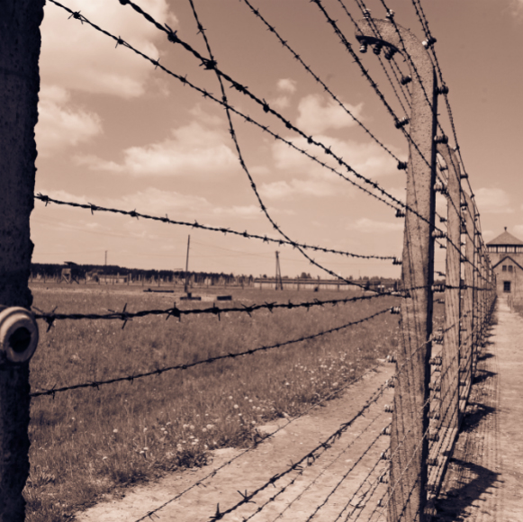 שומרים על צלם אנוש: מדענים בצל השואה