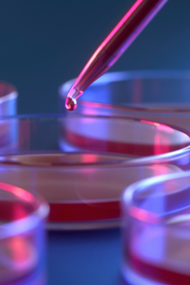 היום לפני: המדען הכי קרוב לצלחת