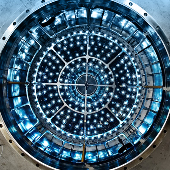 העצים שמורידים גשם