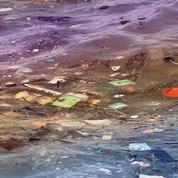 דגים בים של פלסטיק