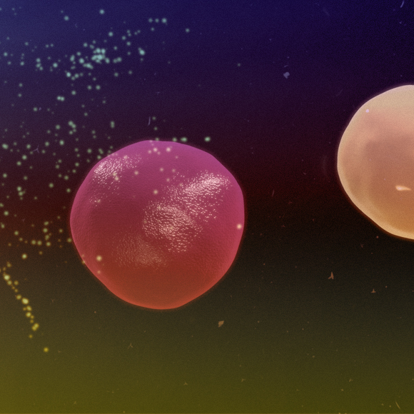 תאים מהונדסים נגד מחלות אוטואימוניות