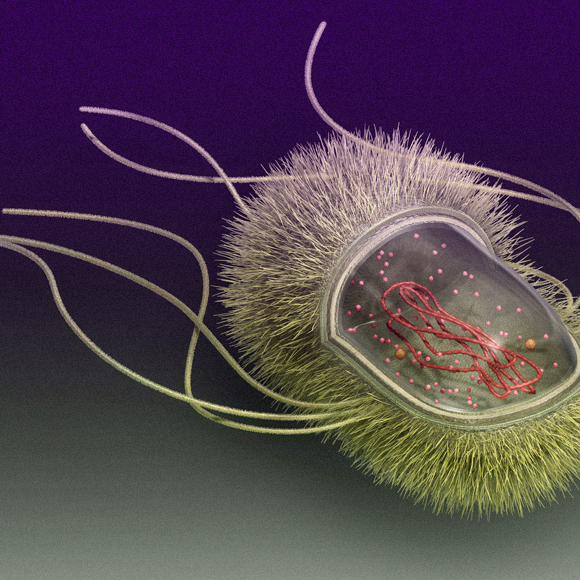 לייצר סוכר מהאוויר