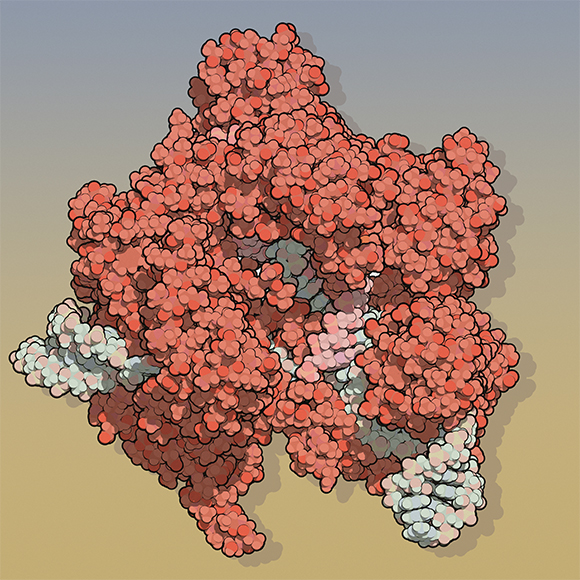 ניסוי קליני ראשון בטכנולוגיה לעריכת גנים