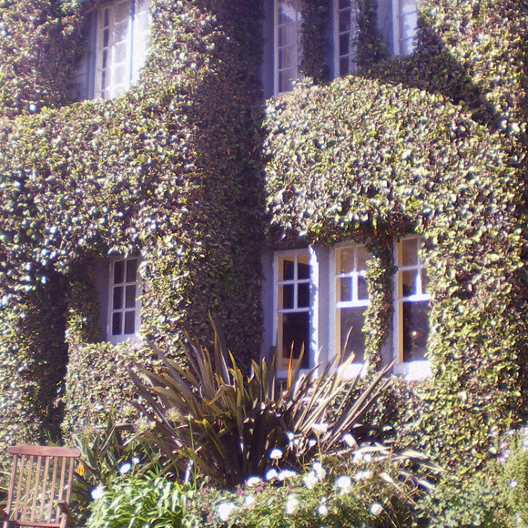 מטפסים על הקירות עם ננו-חלקיקים