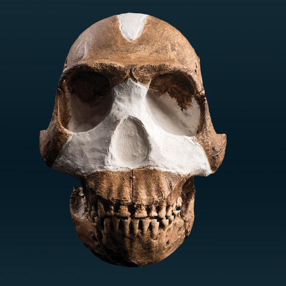 האדם הקדמון המִסתורי