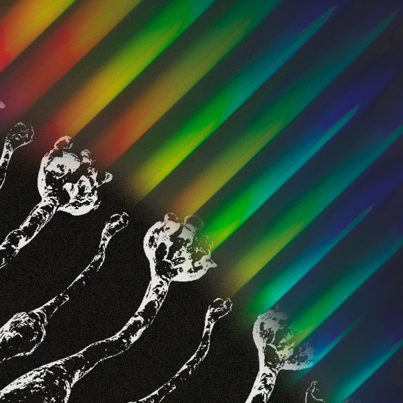 מדע בדקה: נמצאה האישה שרואה יותר מכולם