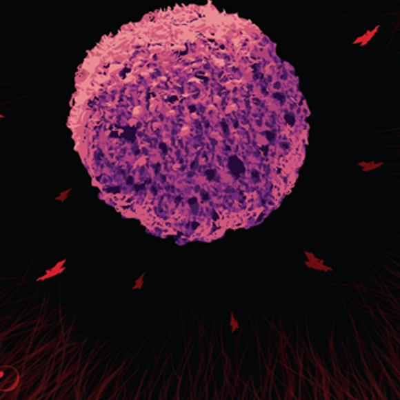 הגנה מפני סרטן