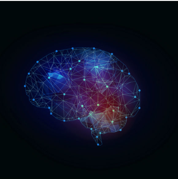 מדע בדקה: כיצד עובד הזיכרון במוח הזקן?