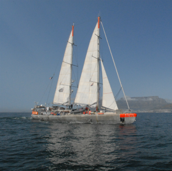 כשהאוקיינוס והאטמוספרה נפגשים