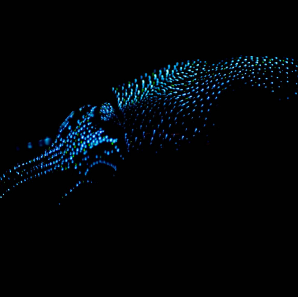 פנסים חיים במעמקים