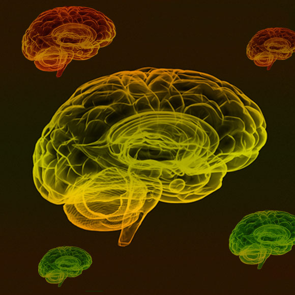 הכי חכמים שיש