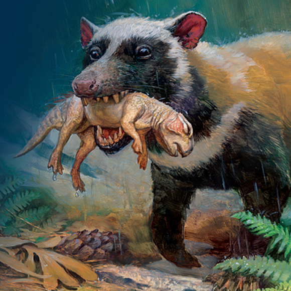 עלייתם לגדולה של היונקים