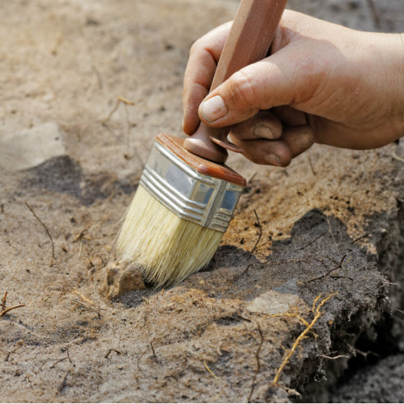 מדע בדקה: החלבונים הקדומים ביותר שזוהו