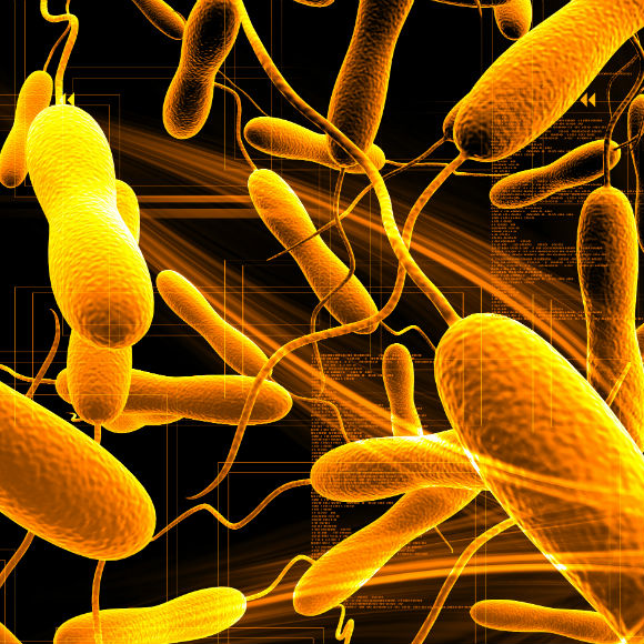 מדע בדקה: מה הקשר בין התחממות כדור הארץ לכולרה?