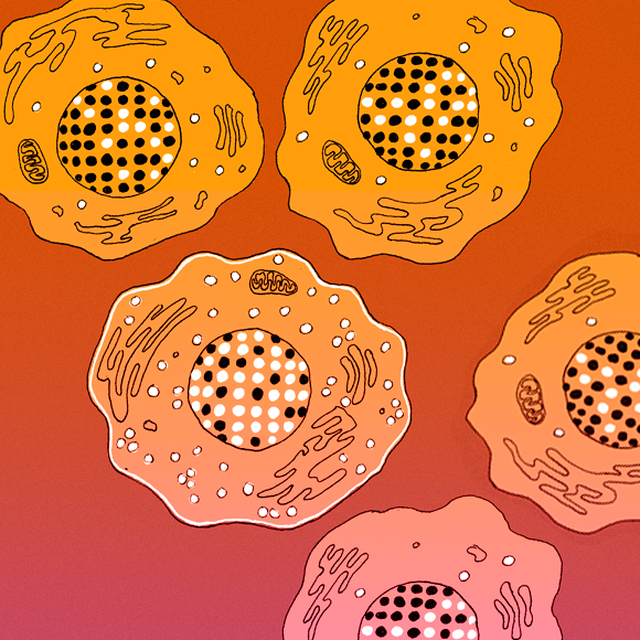 בדרך לנובל? פרס יוקרתי לחלוצי האפיגנטיקה הישראלים