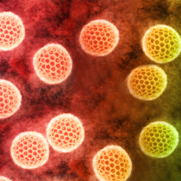 זיקה בישראל? אין סיבה לדאגה