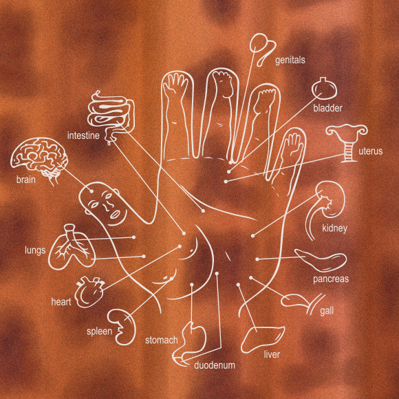 Scientific Study of Chinese Medicine