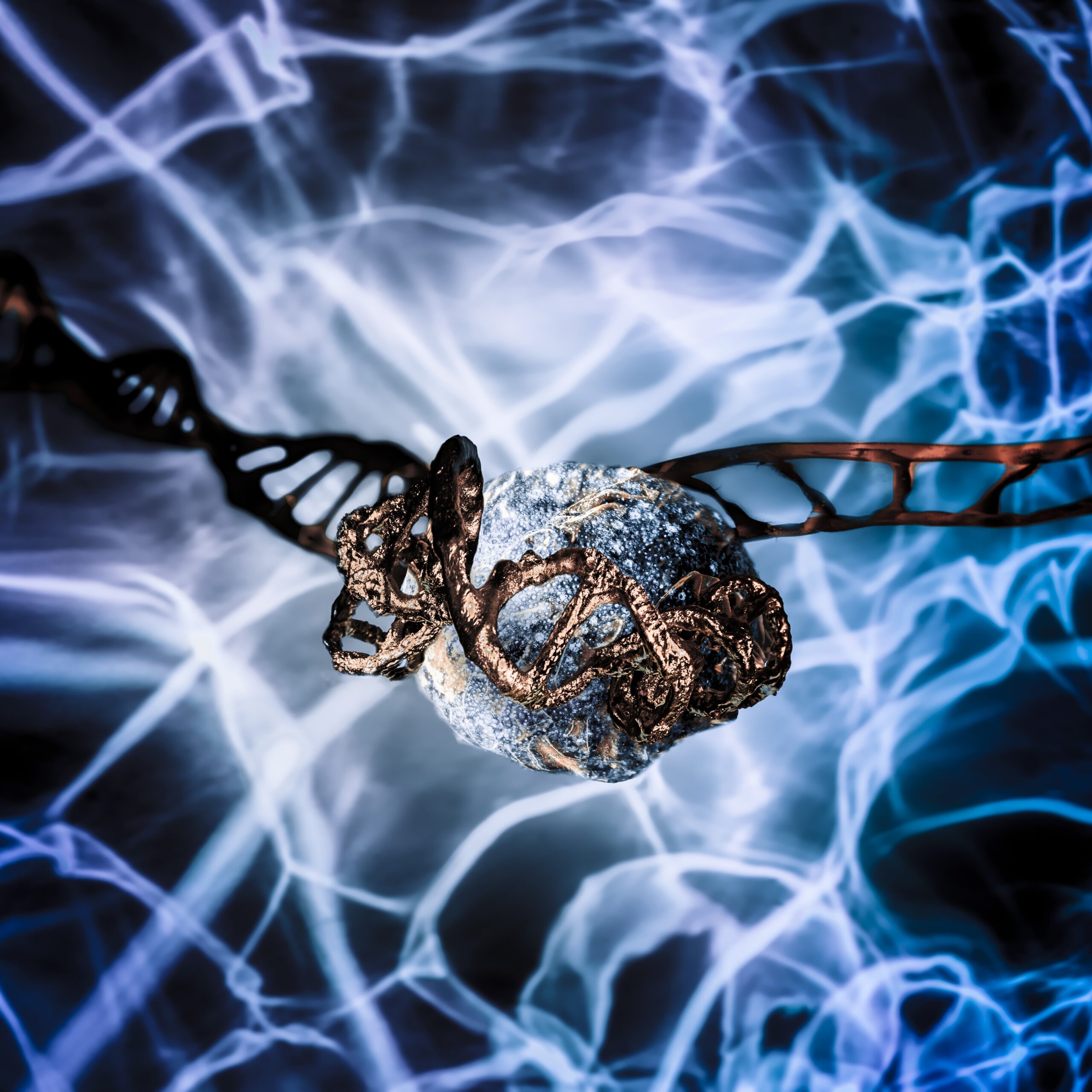 החלבונים שעוצרים גידולים סרטניים