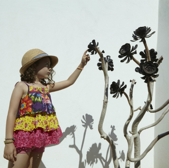 האם צמחים מרגישים?