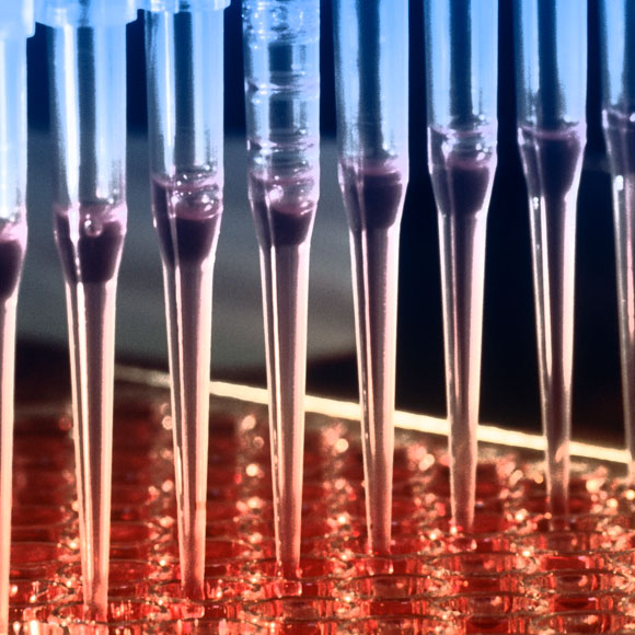 מה הסיכוי לרפא סרטן באימונותרפיה?