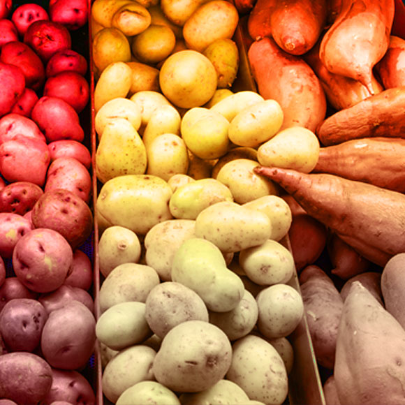 מדע בדקה: הטעם השישי