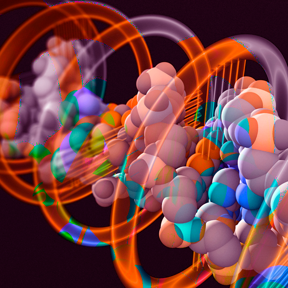 השיטה שמתחרה באבולוציה