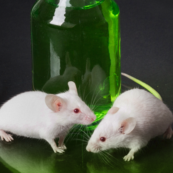 50 שנות טעות? מדענים נכשלו בשחזור אפקט החסימה