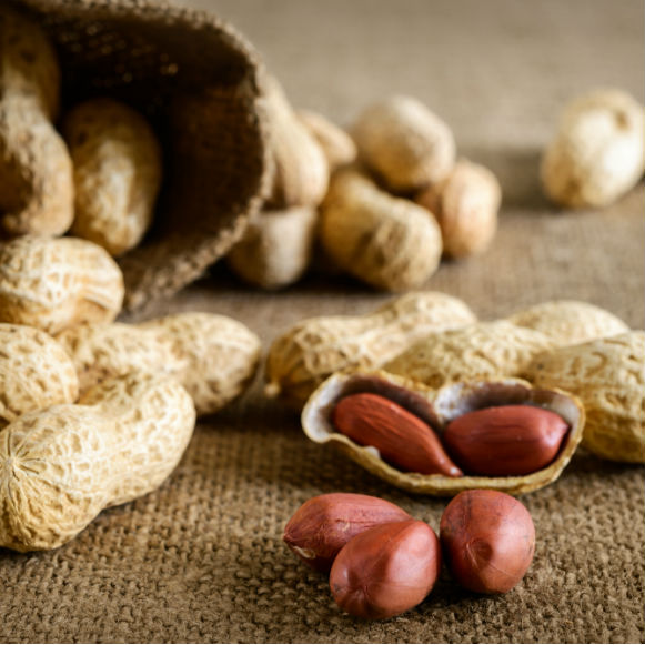 מדע בדקה: ביצים ובוטנים לגיל הרך