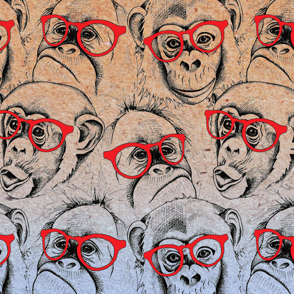 מדע בדקה: קופים עם משקפיים, חורפים קשים ושנהב פילים