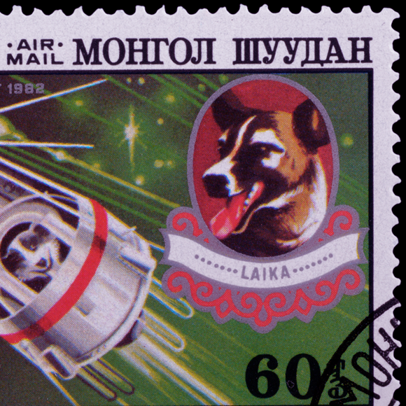 היום לפני: הידידה הטובה בחלל