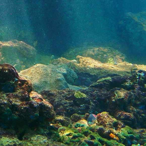 מדע בדקה: אגם בתוך הים, מומיות ואסטרואידים