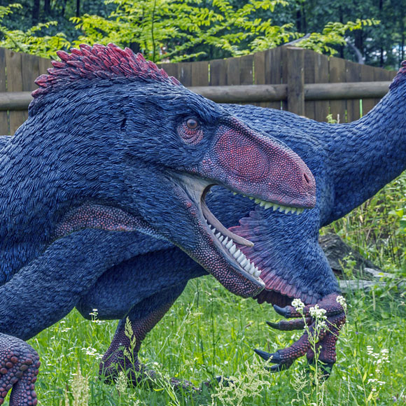 זו לא דוכיפת, זה טי-רקס!